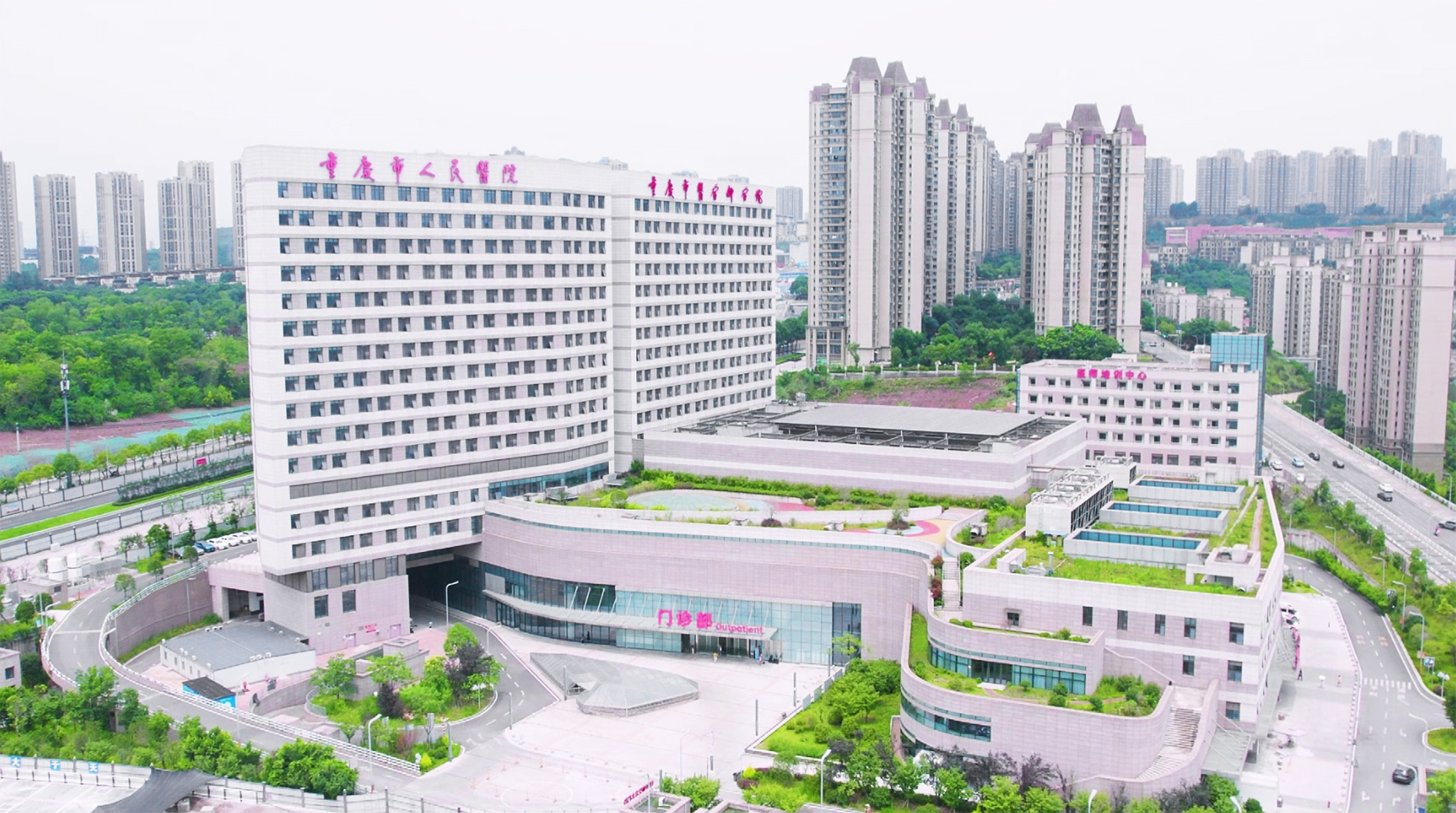 1721700057.jpg 1.jpg