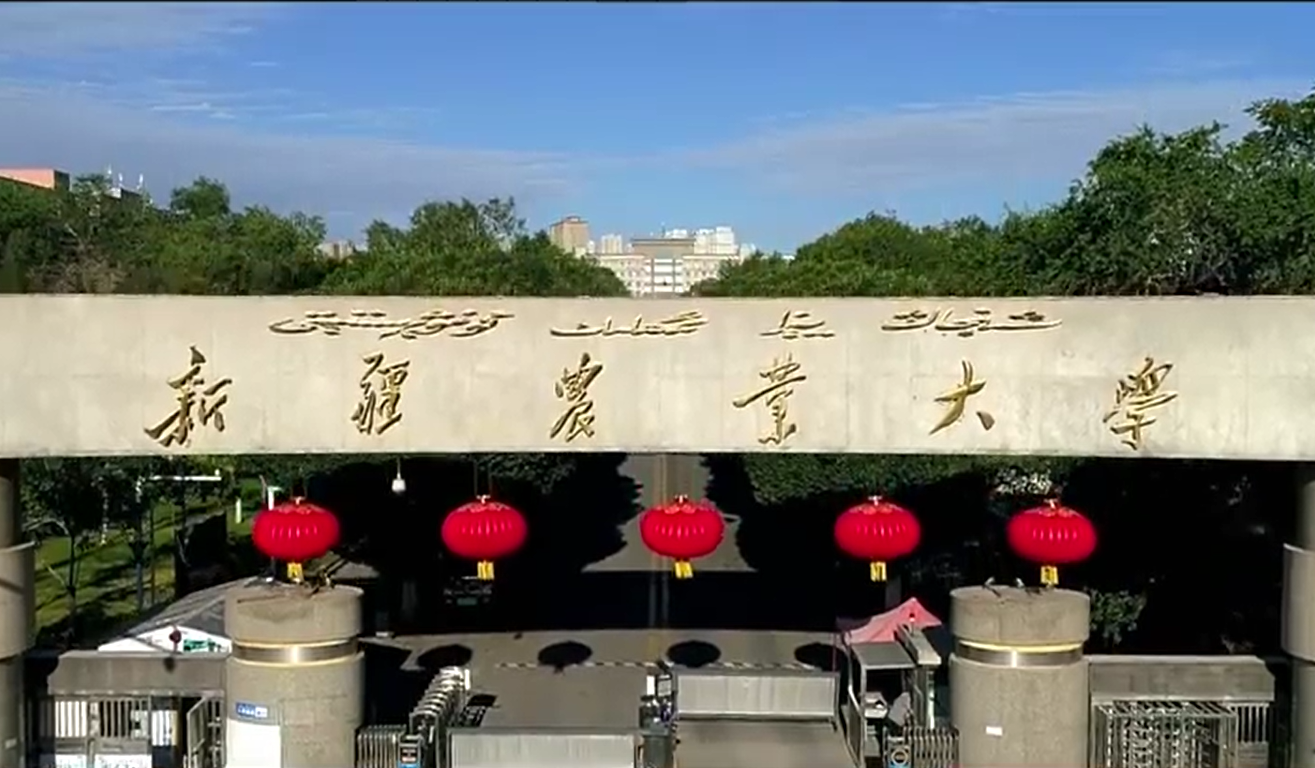 新疆农业大学实验室项目